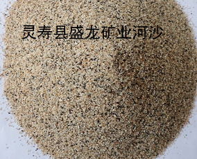 報價與信任 探索靈壽縣盛龍礦產(chǎn)品加工廠的品牌故事